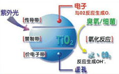 &#20061;&#28216;&#23448;&#26041;&#31449;&#32593;&#39029;&#29256;&#45;&#20061;&#28216;&#40;&#20013;&#22269;&#41;